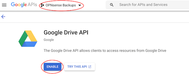 ../../_images/google_drive_enable.png