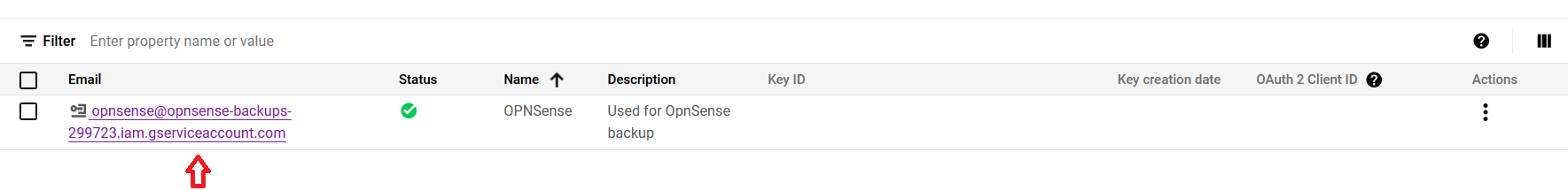 ../../_images/google_service_account.png